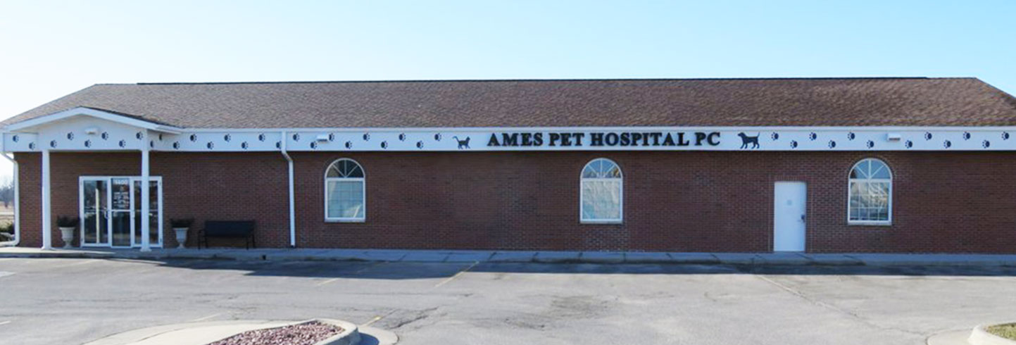 Ames veterinary hospital